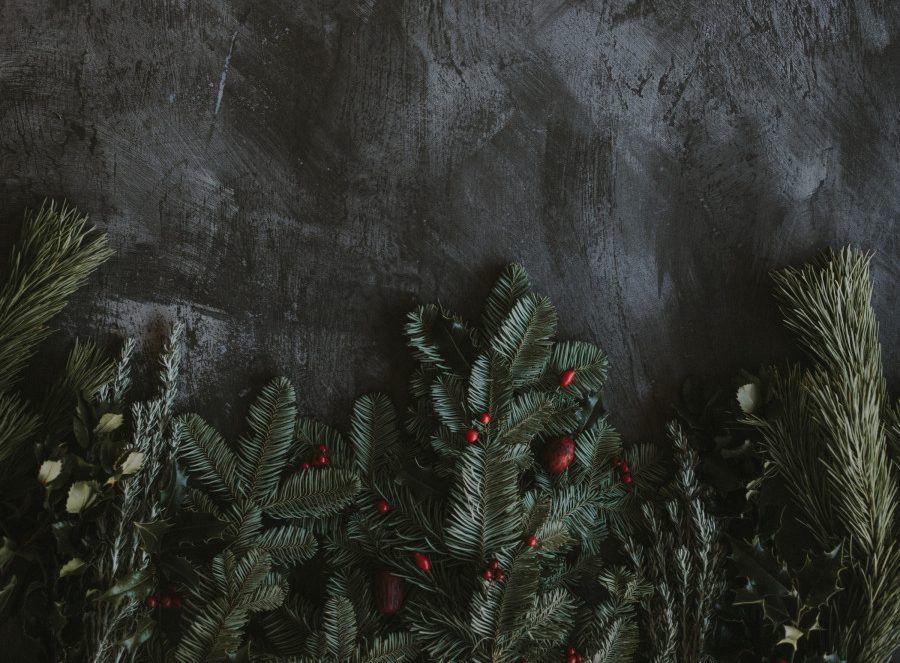 Annie Spratt LVvg1RFnh A Unsplash (1)