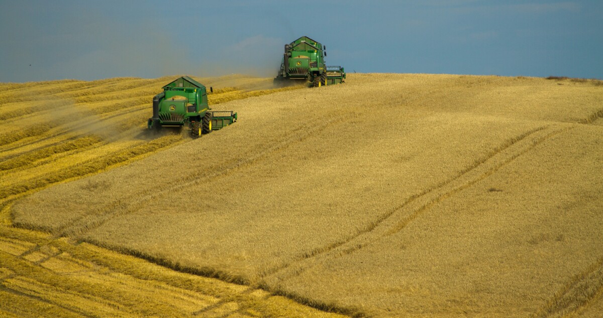 Agriculture Cereal Country Countryside 575102