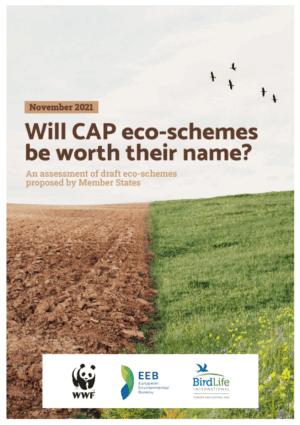 Cover photo for the paper: will CAP eco-schemes be worth their name?