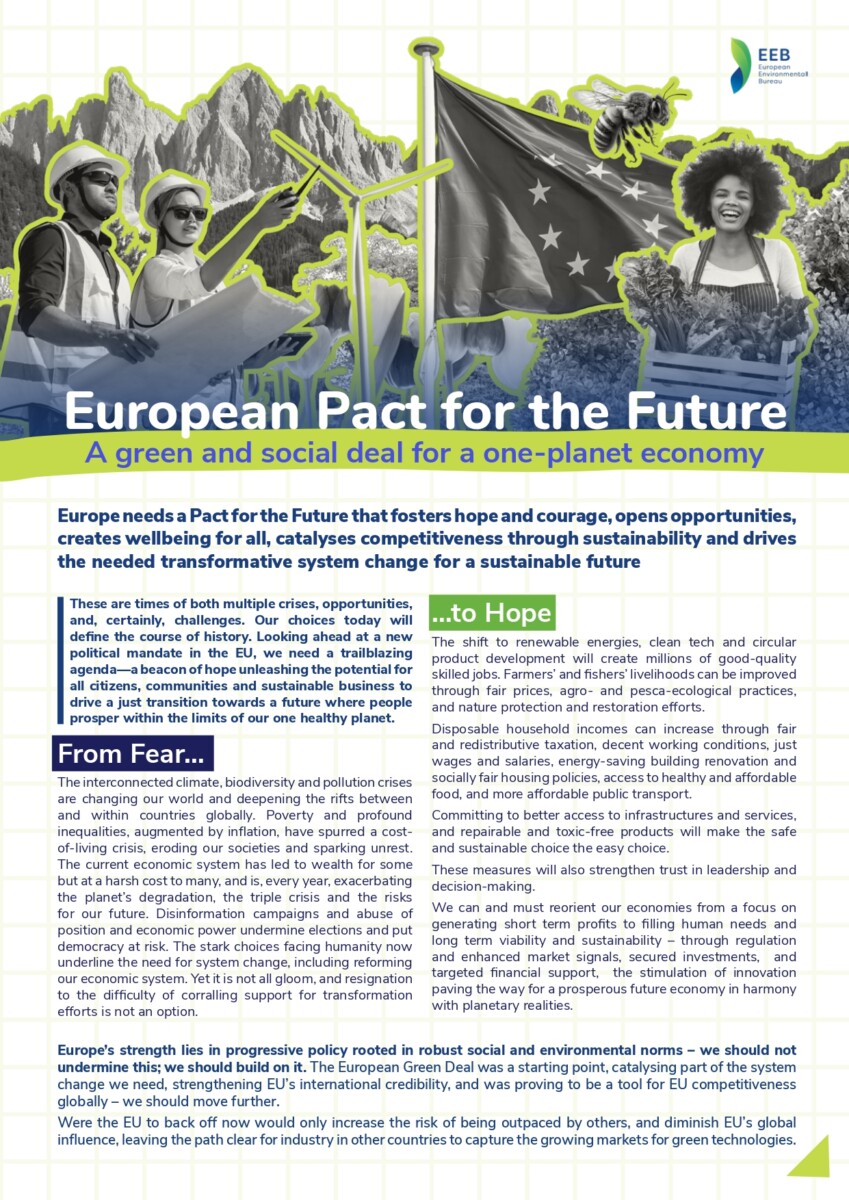 European Pact for the Future - A green and social deal for a one-planet ...