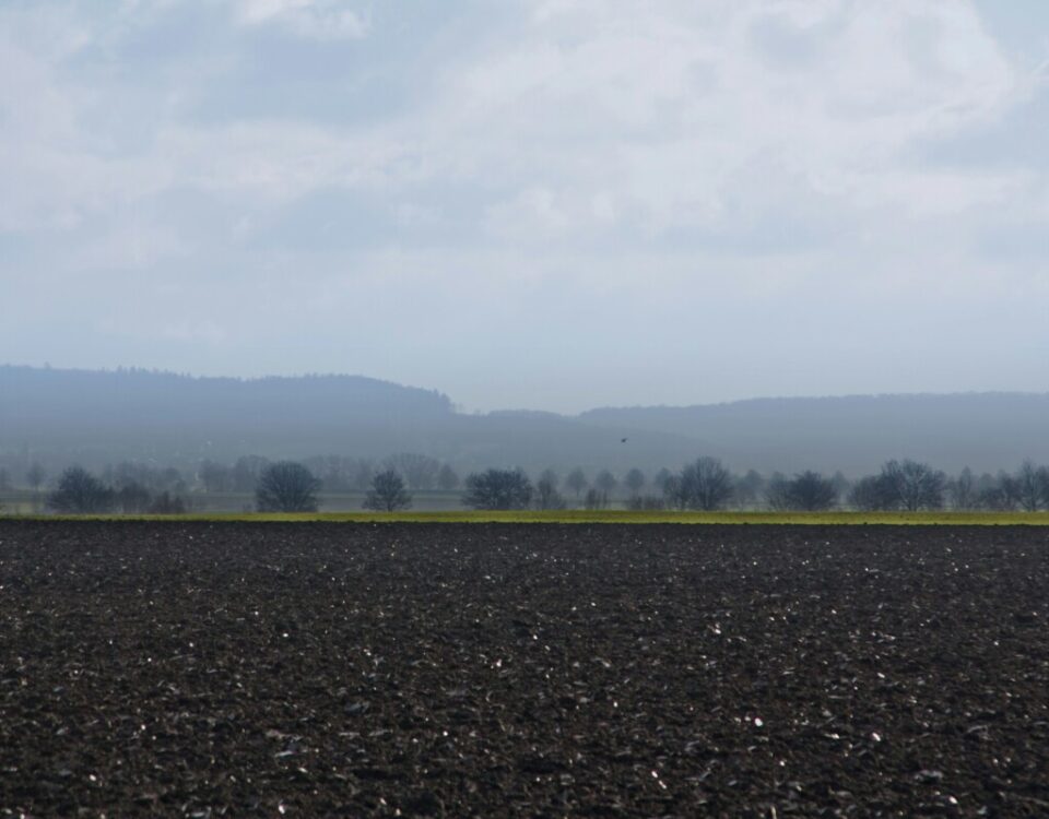 German field by Karsten Bauche