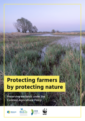 Protect farmers by protecting nature - briefing cover page