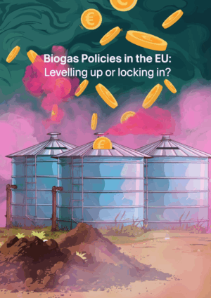 Biogas policies in the EU: Levelling up or locking in?