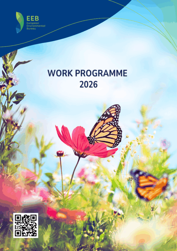 EEB Work Programme 2026